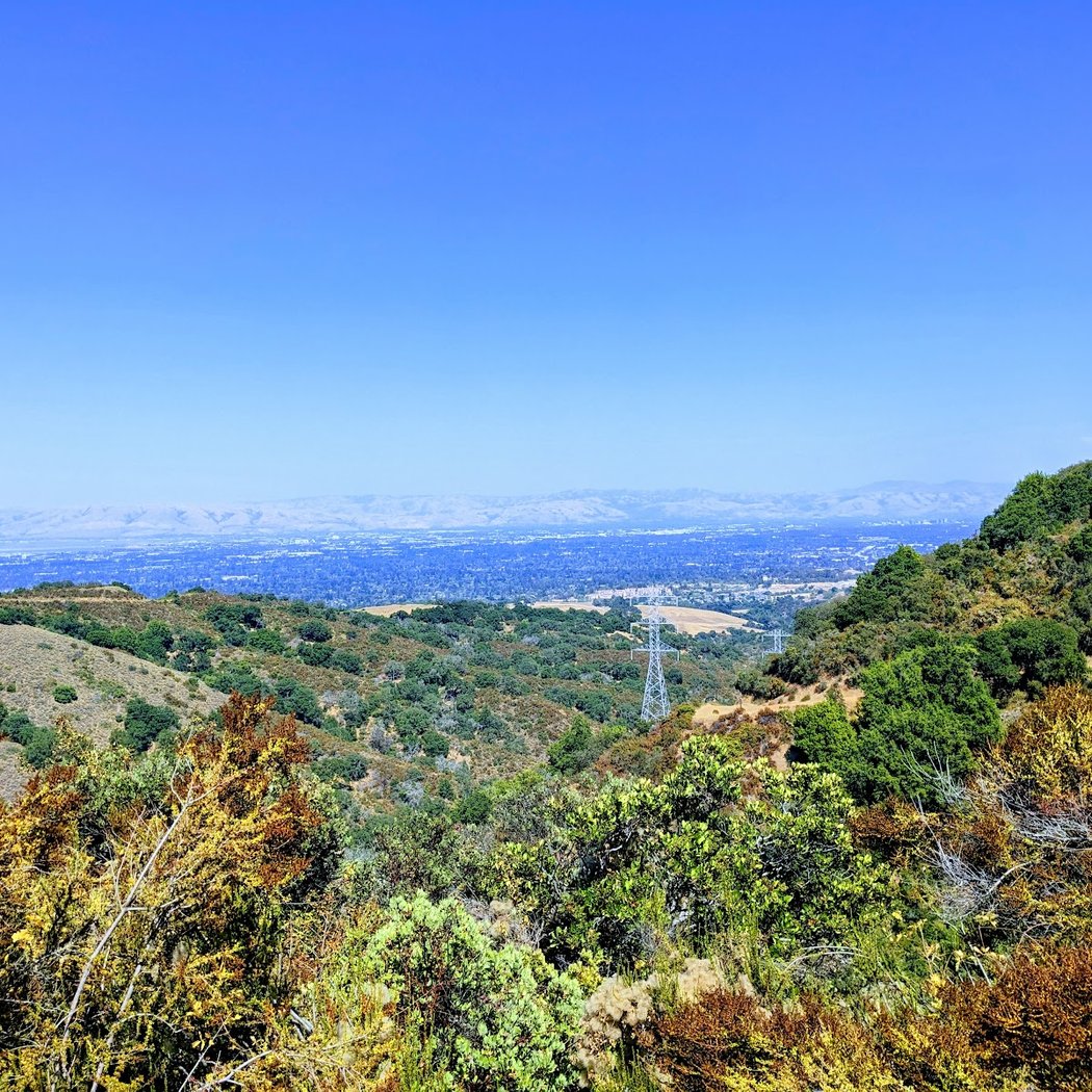 Stephen E. Abbors Trail 1