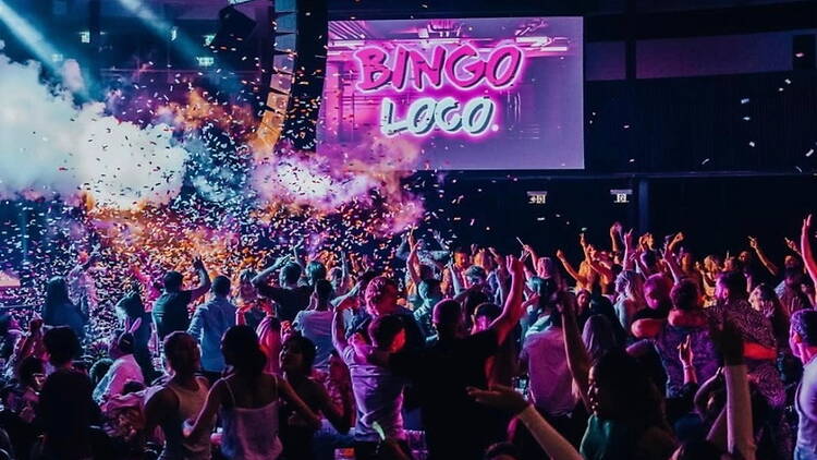 Bingo Loco 3
