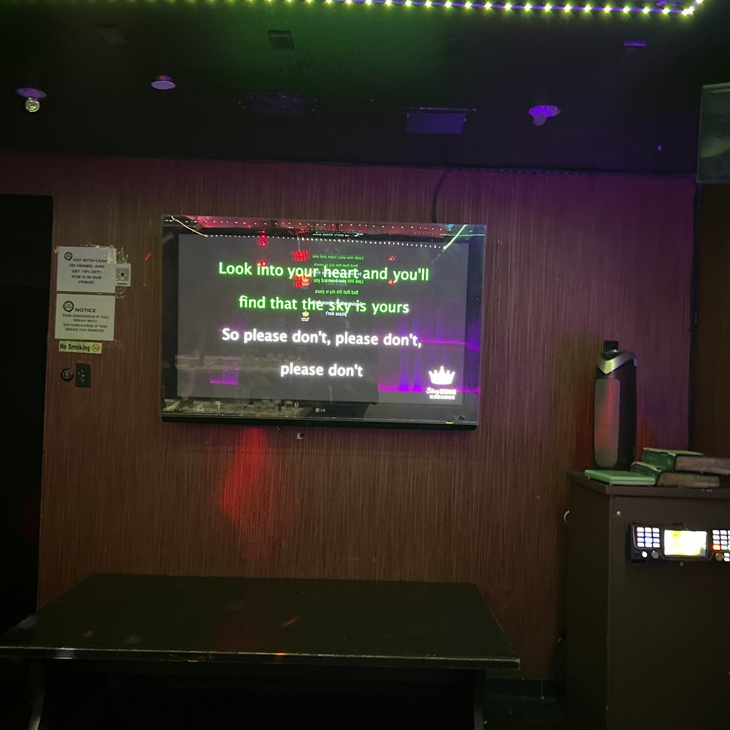 The Spot Karaoke & Lounge NYC 3