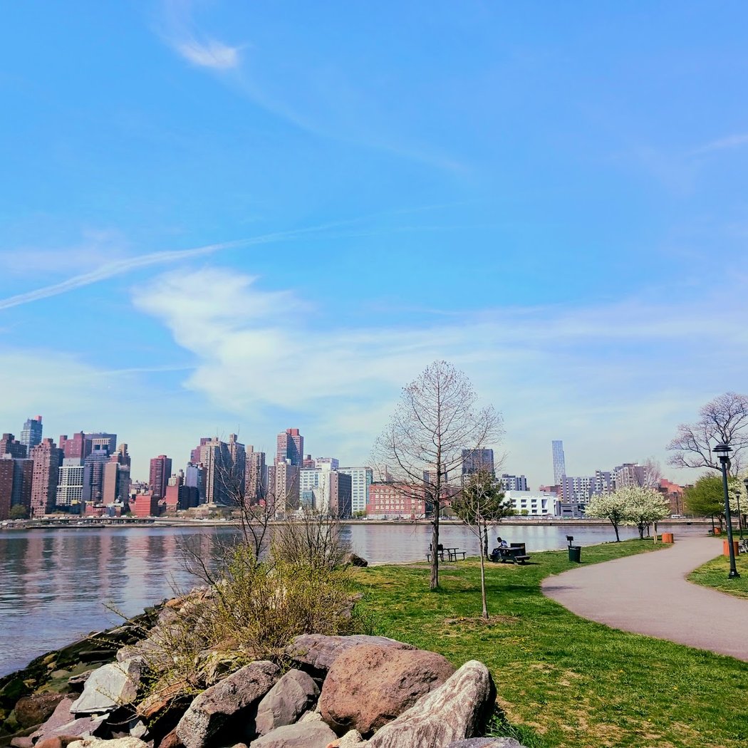 Wards Island Park 3