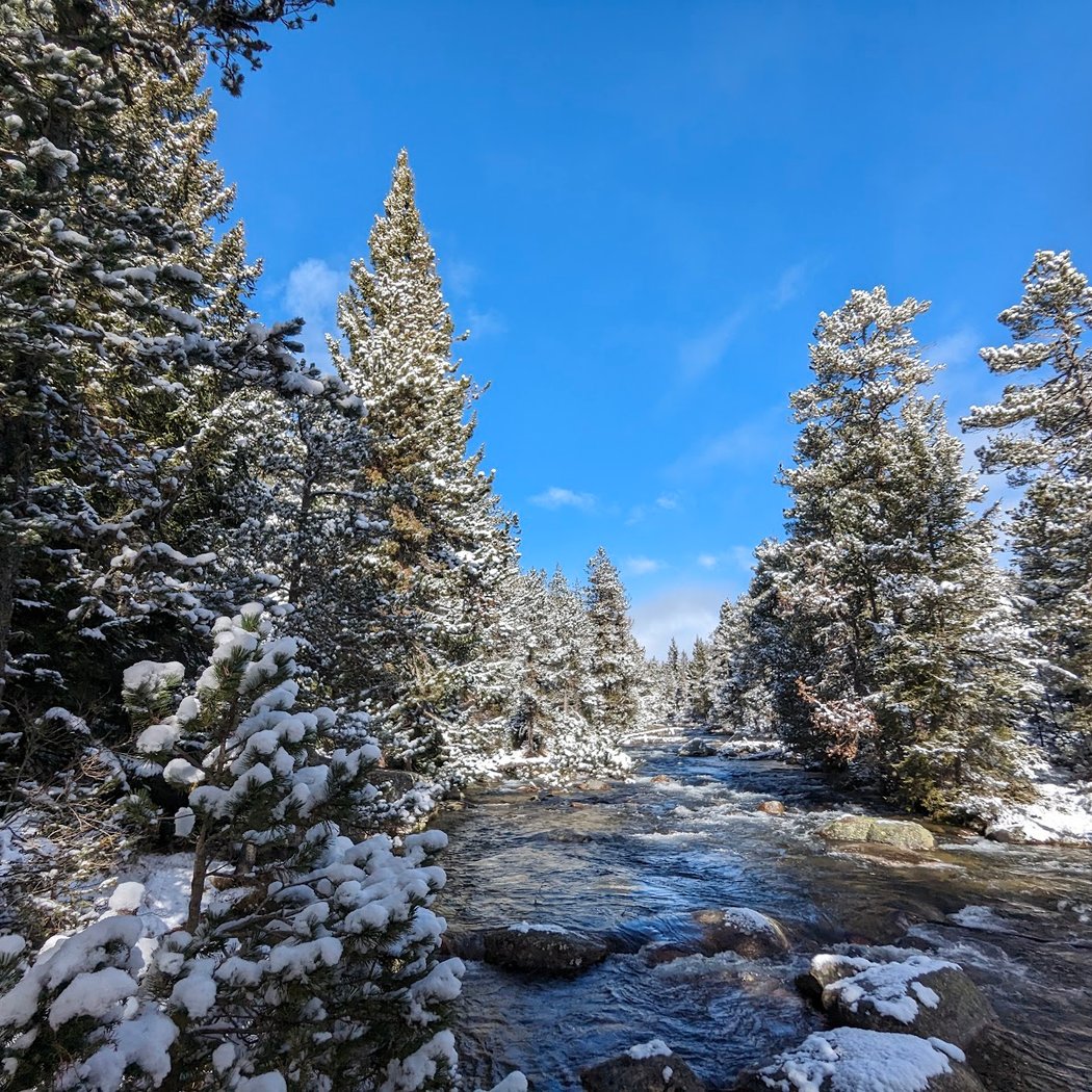 Le Petit Canada 1