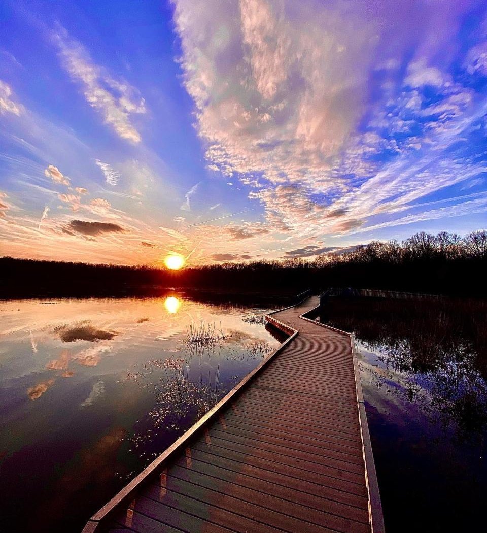 Huntley Meadows Park 1