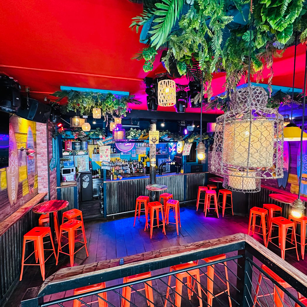 Jungle Zone 1