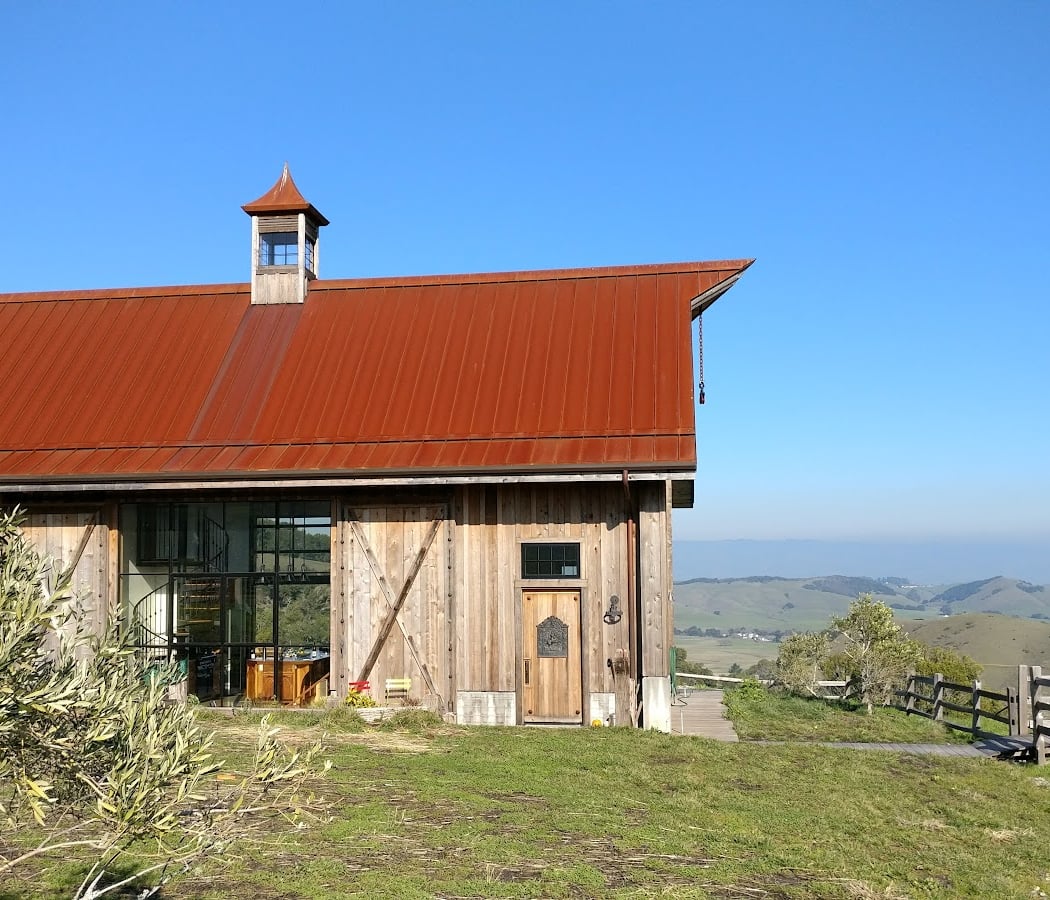 Stubbs Vineyard 3