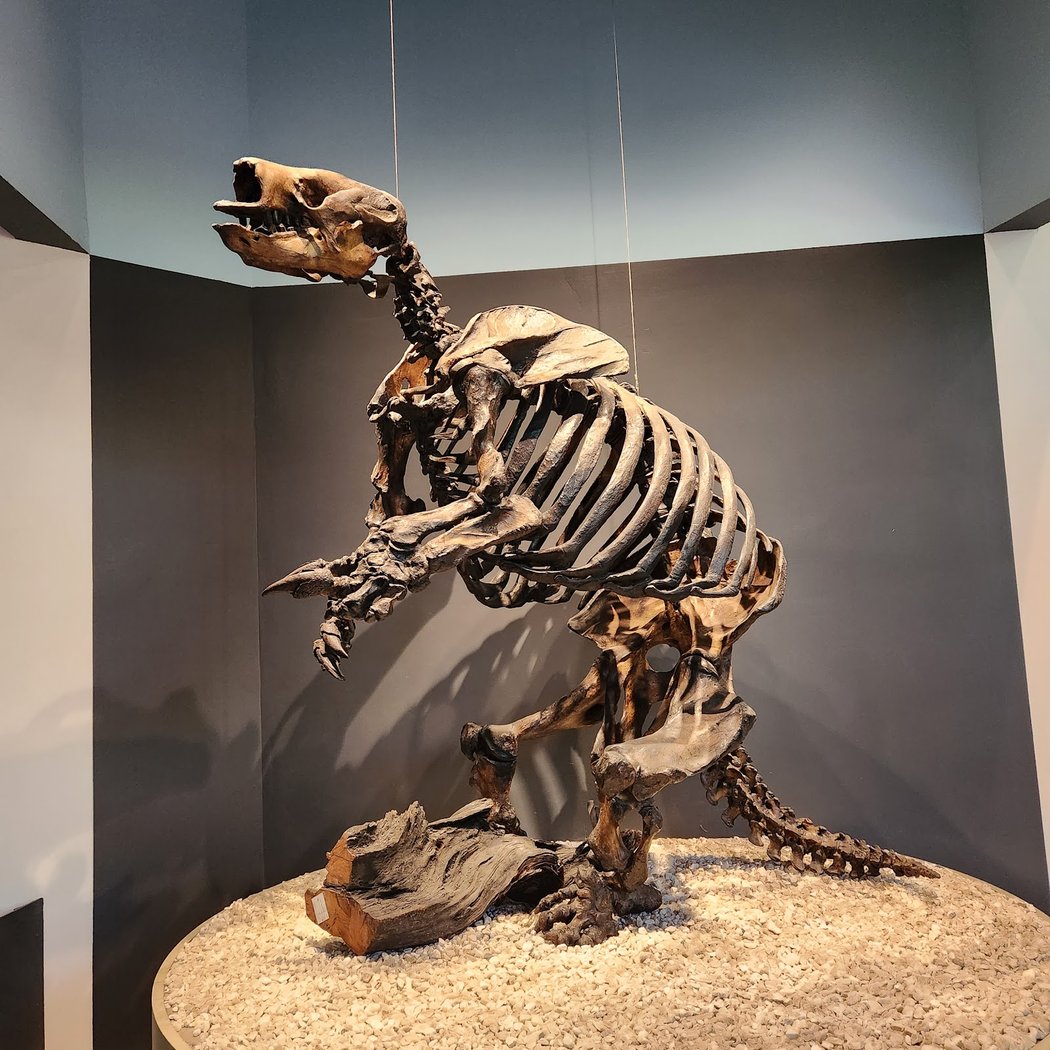 KCRW Summer Nights With La Brea Tar Pits