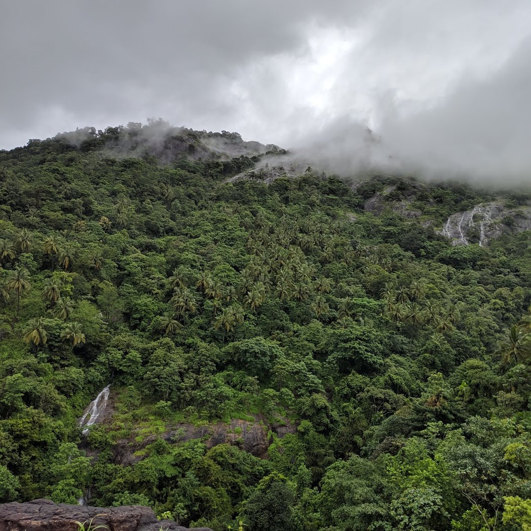 Karingad Hill Resort View Point 3