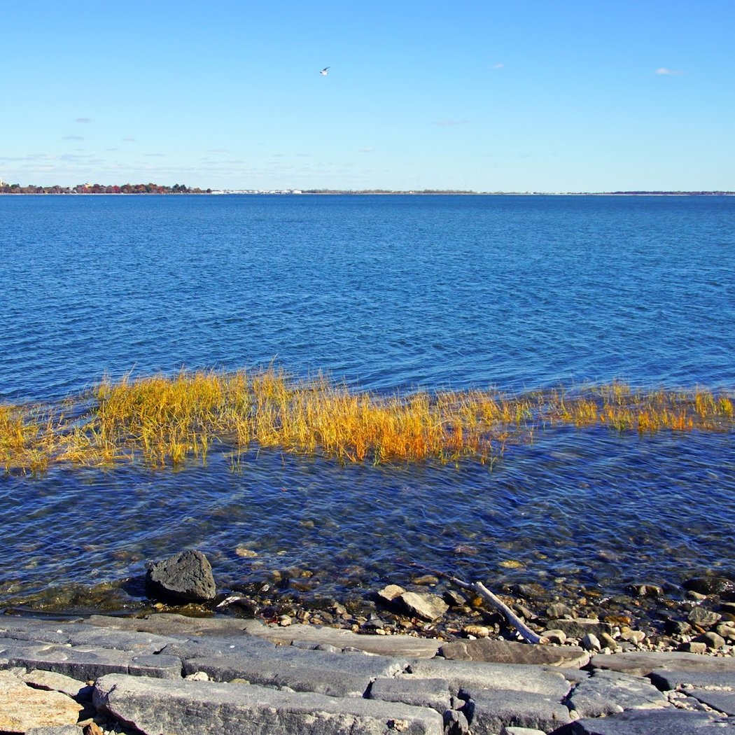 Long Island Sound 1