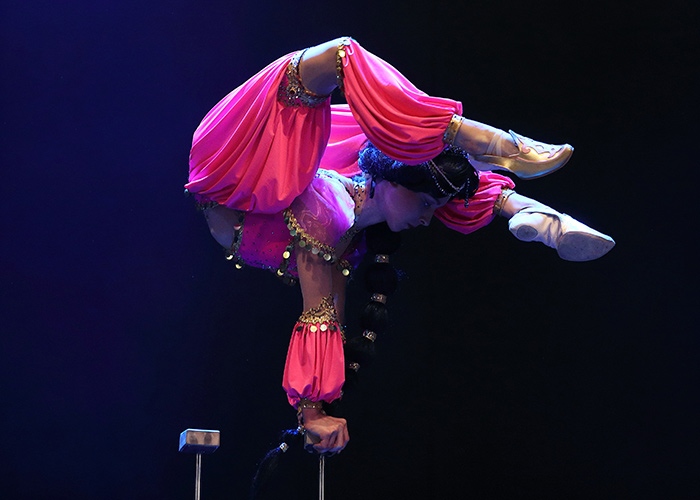 Aladdin - The Circus Show 1