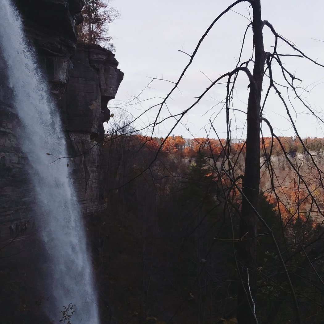 Thacher State Park 3
