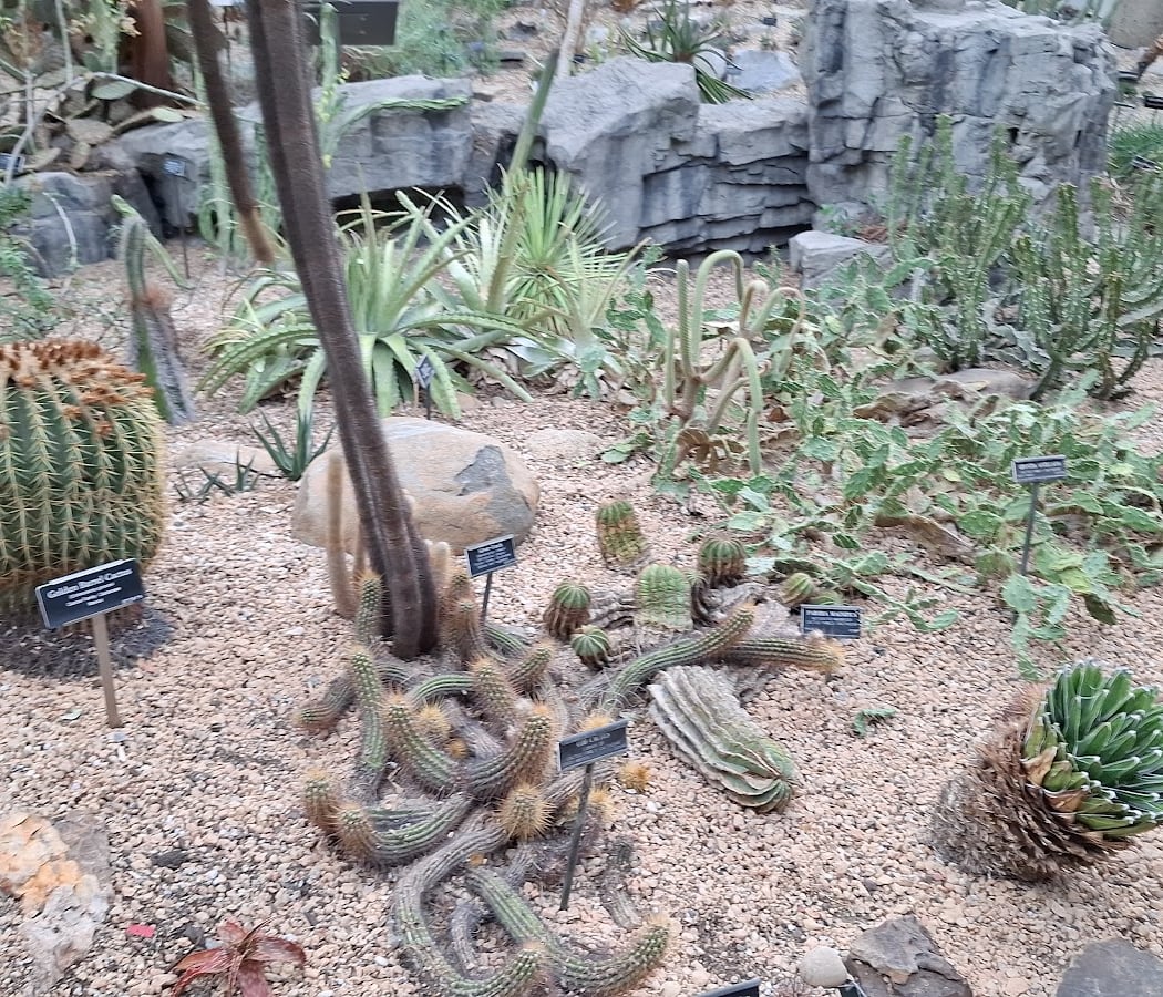 Desert Pavilion 3