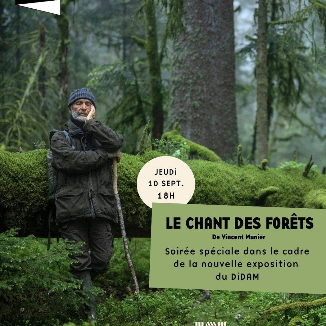 LE CHANT DES FORÊTS