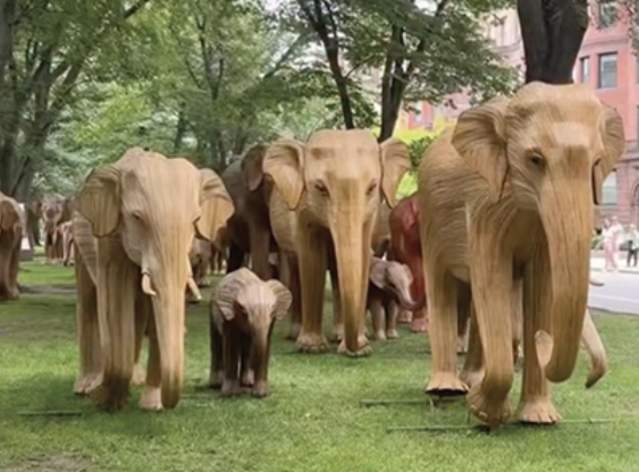 The Great Elephant Migration Sculptures