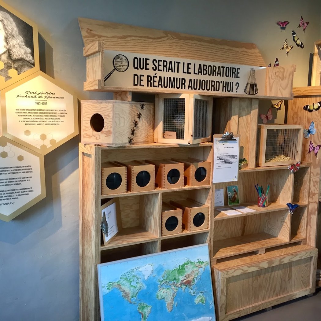 Visite des salles du Manoir 1