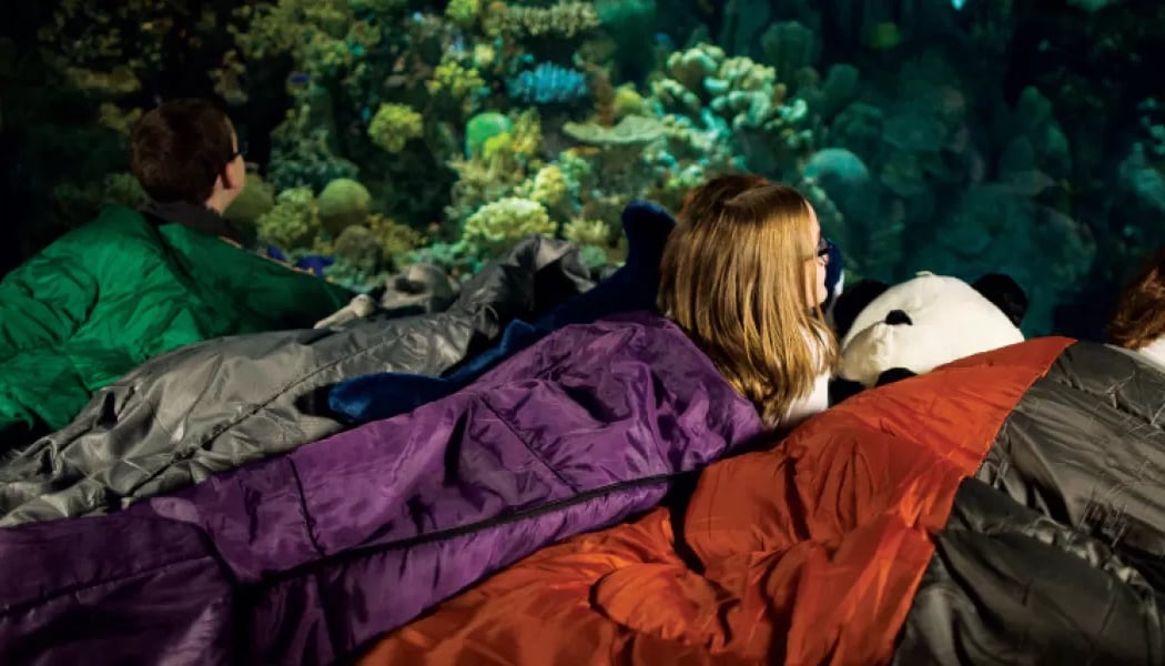 Aquarium Sleepover 1