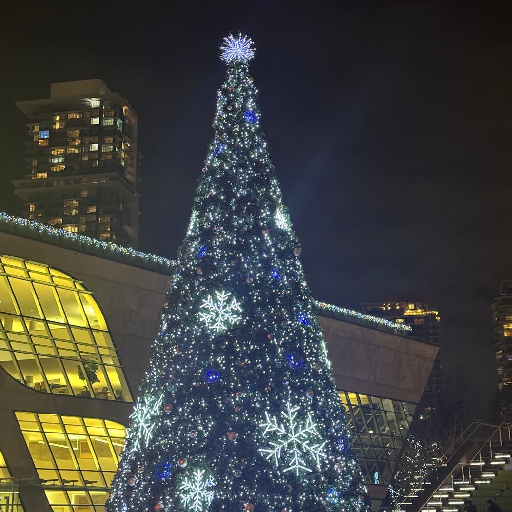 Surrey Civic Plaza 1
