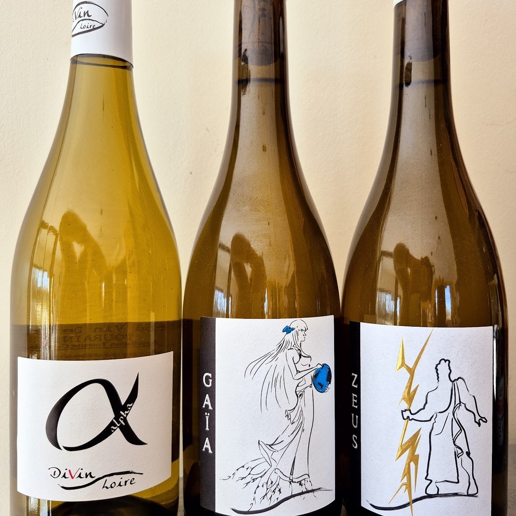 Divin Loire A&E Clavier Vente de Vins Bios et Demeter producteurs à OISLY 2