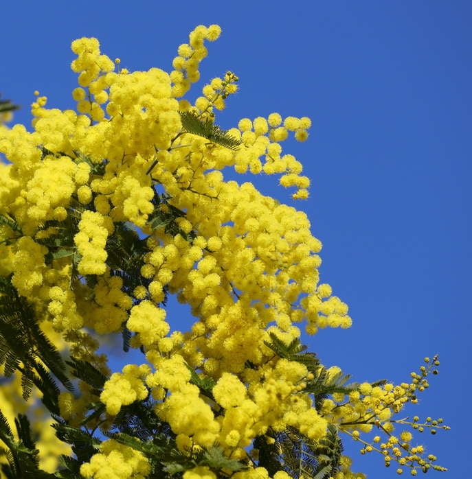 La Friche Malesherbes 1