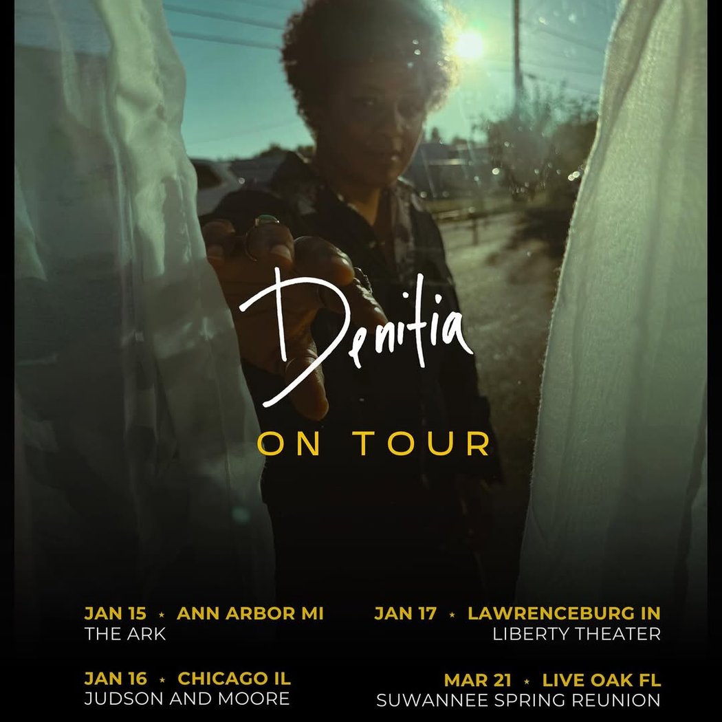 Denitia performance 1