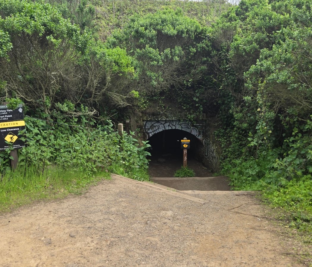 Golden Gate Picnic Spot 3