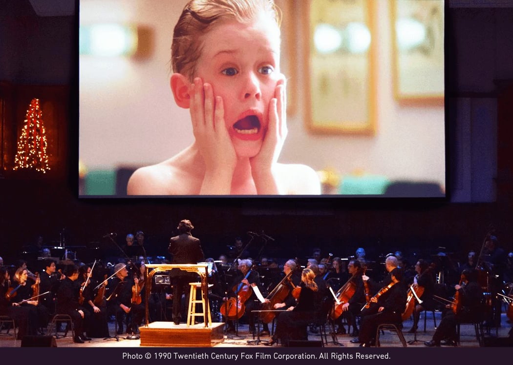 Home Alone with the DSO 1