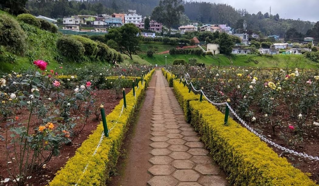 Government Rose Garden 3