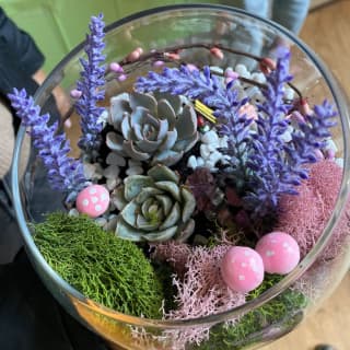 Closed Eco-System Terrarium Class 5