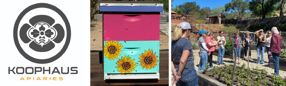 Beekeeping with Koophaus Apiaries 2