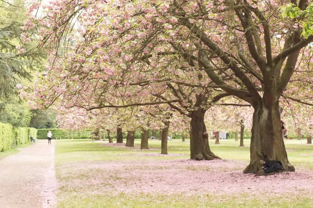 Parc de sceaux vélo 2