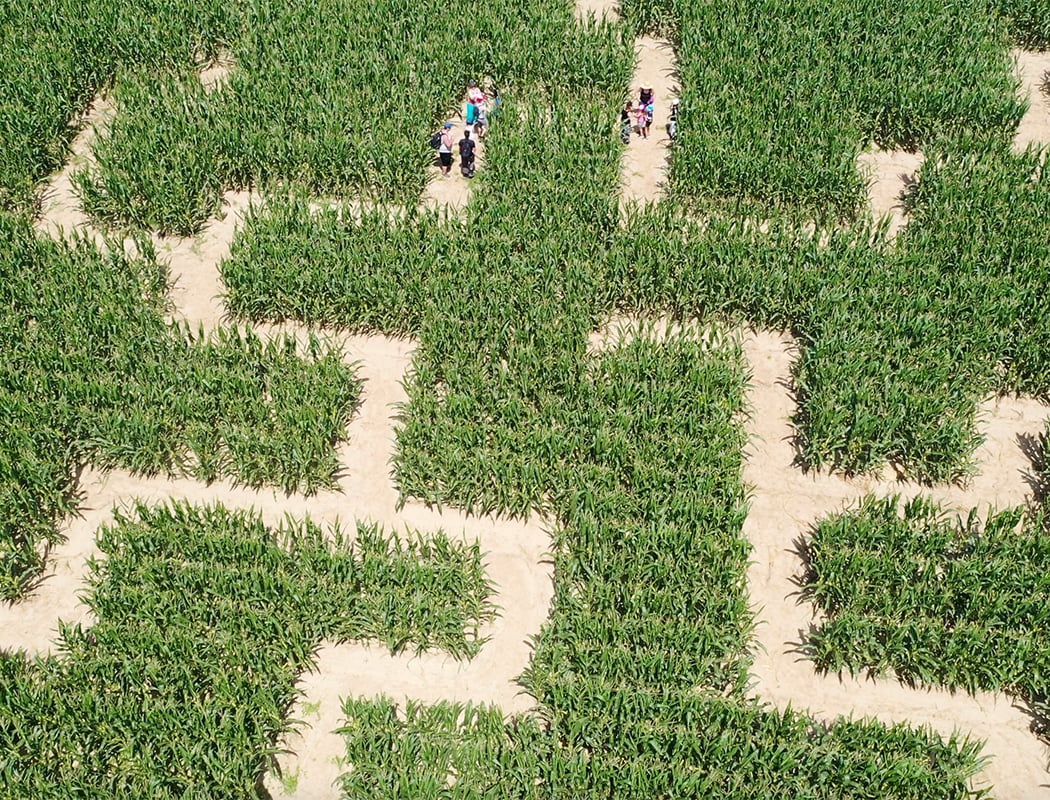 Labyrinthe Magique de Poitiers 2