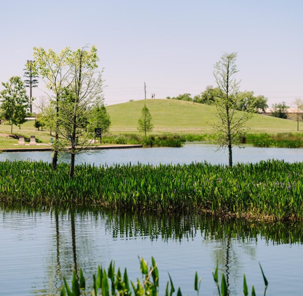 Moncus Park 2