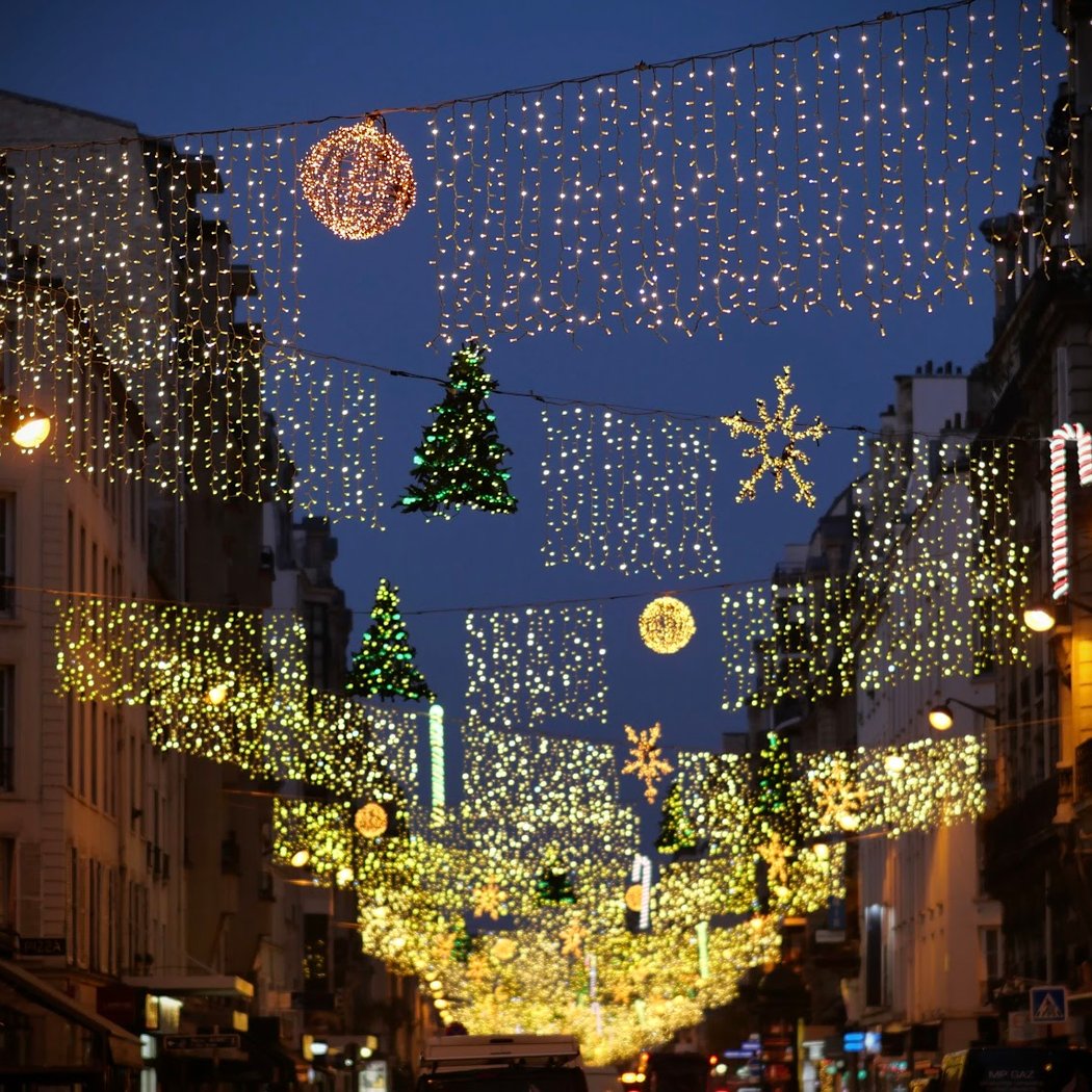 Rue Lecourbe Christmas Lights 1