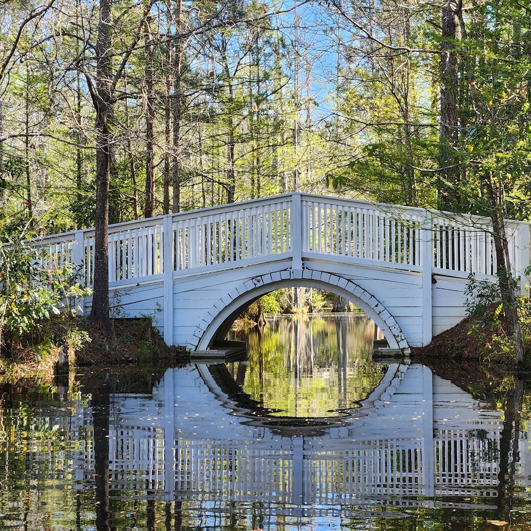 Cypress Gardens 3