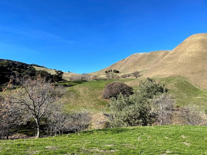 Black Diamond Mines Regional Preserve 2