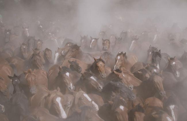 Film Screening – “Only on Earth” 1