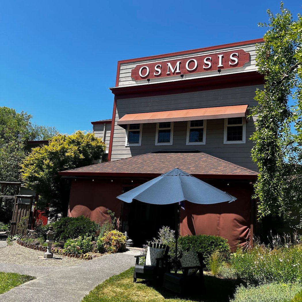 Winter Solstice Morning at Osmosis 3