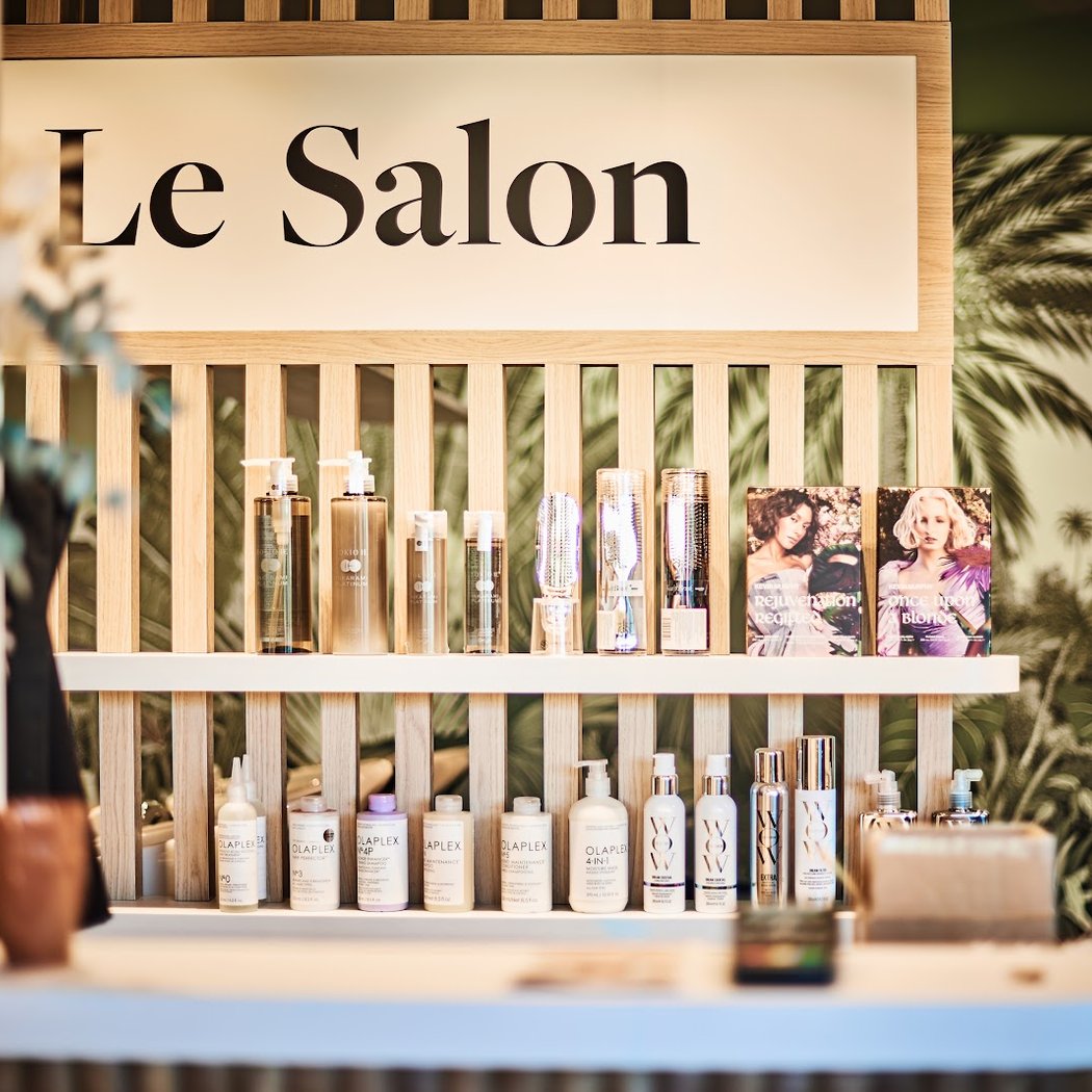 Le Salon 1