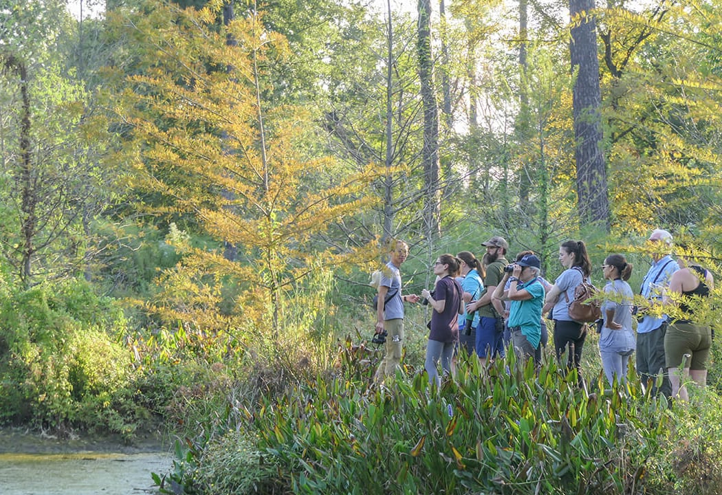 Second Saturday Bird Survey