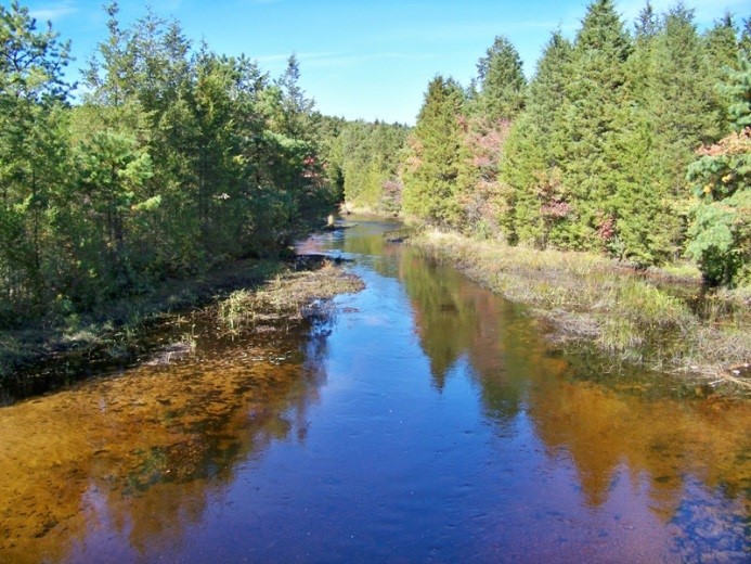 Double Trouble State Park 3