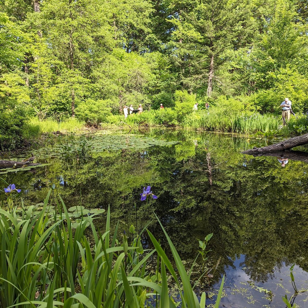 Garden in the Woods 3