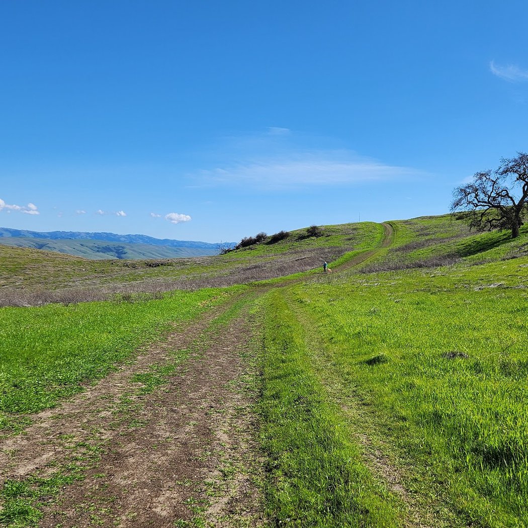 Bernal-Gulnac-Joice Ranch 1