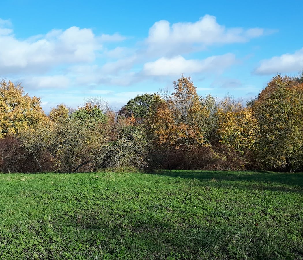 Coulée Verte 1