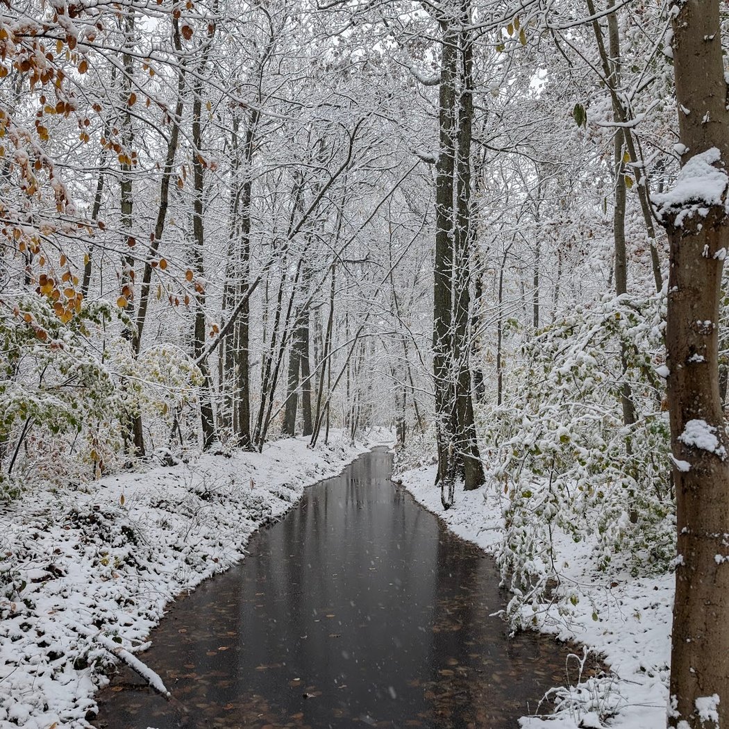 Forêt domaniale de Meudon 3