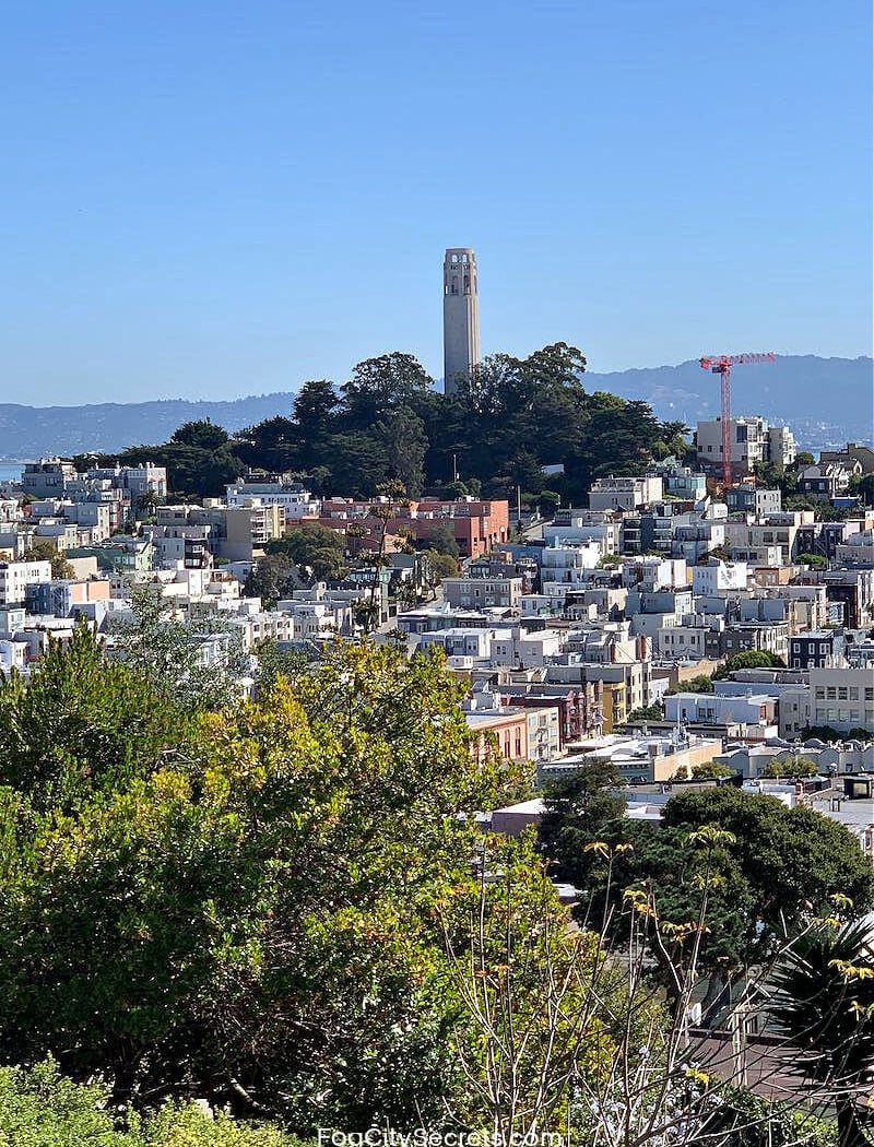 Ina Coolbrith Park 3
