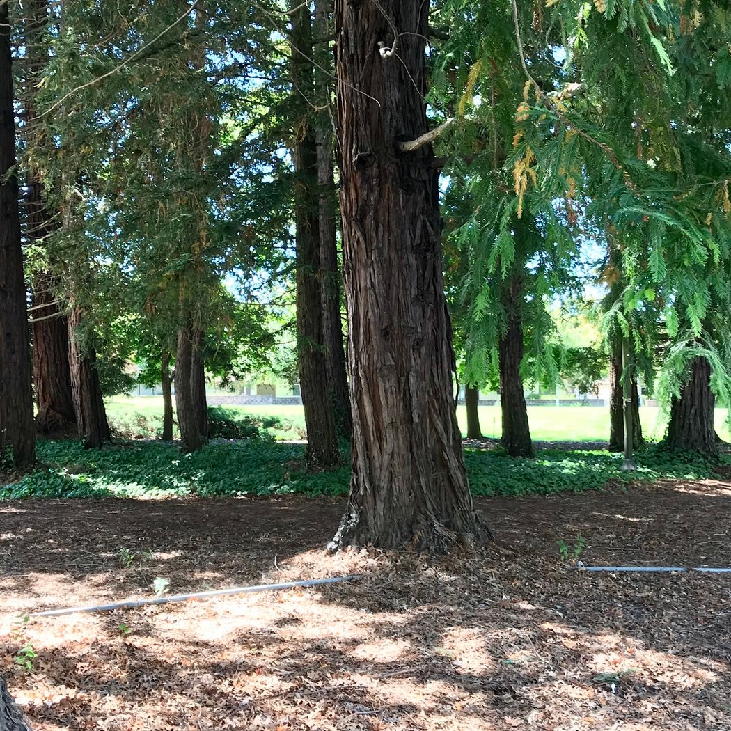 Fairfield Osborn Preserve Guided Public Hike 4