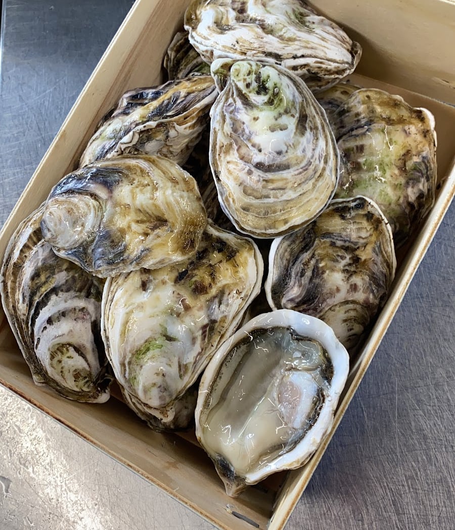 Coquillages Claude Les Grandes Halles Du vieux Port 3