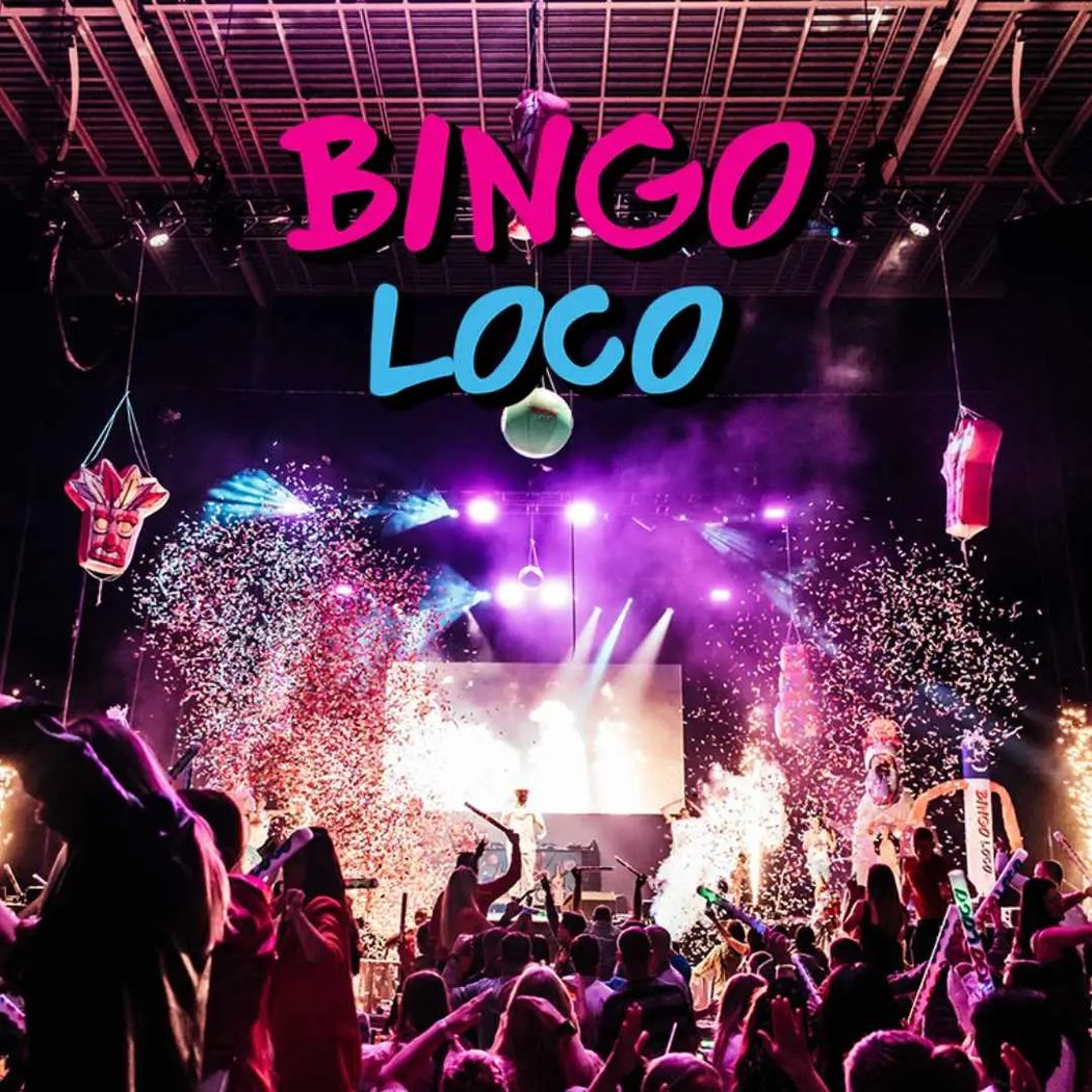 Bingo Loco 1