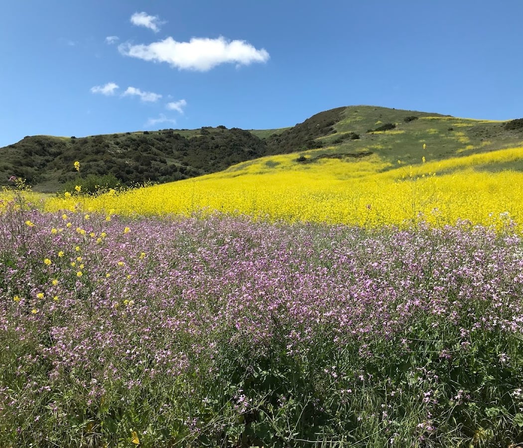 Bommer Canyon Nature Trail 1