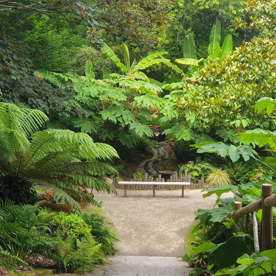 Parc des Dryades 1