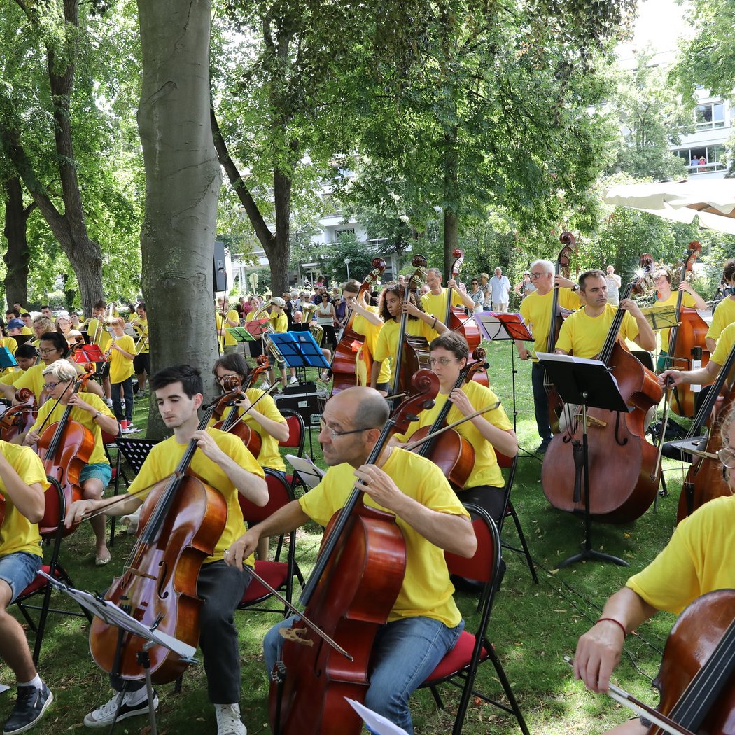 Colmar Symphonic Mob 3