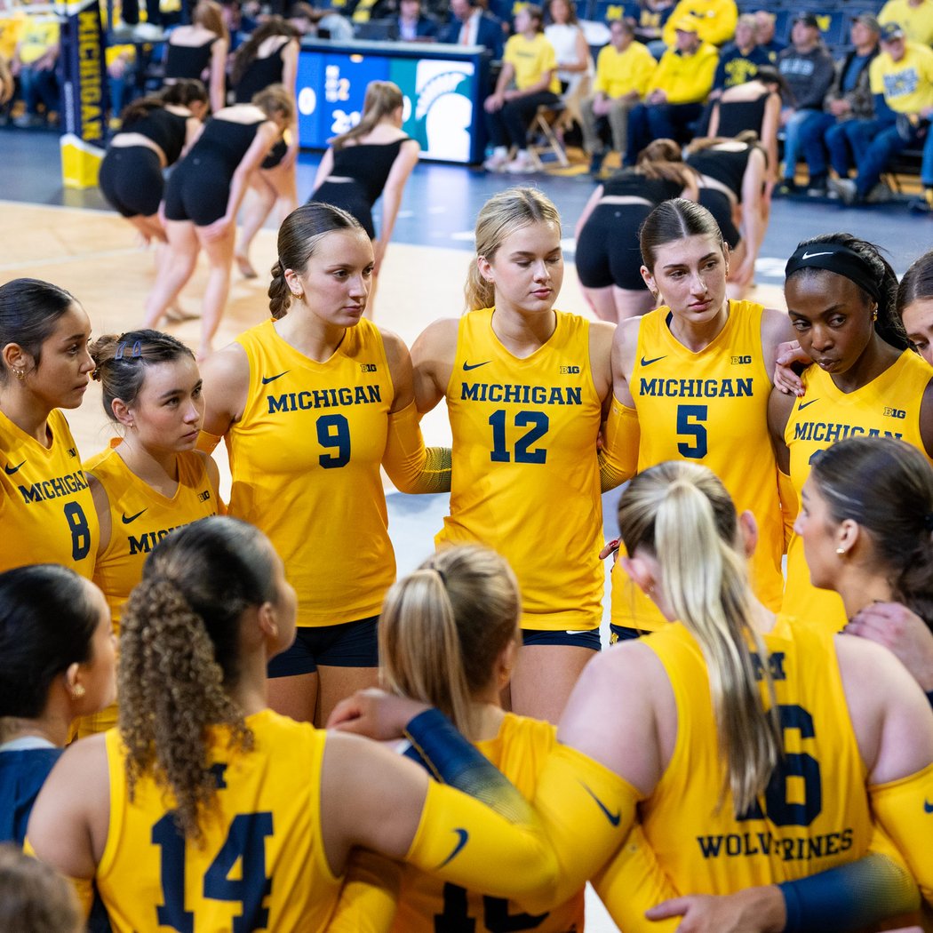 Michigan Wolverines vs. LSU Tigers 4